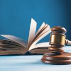 Naturskyddsföreningen har begärt rättsprövning av regeringens beslut att tillåta bygget av motortrafikleden Tvärförbindelse Södertörn i södra Stockholm. Foto: sasun bughdaryan /Unsplash