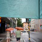 Målet är en stadsutveckling med minskade översvämningsrisker och skydd för vattenmiljöer i Stockholm. Foto: AdobeStock