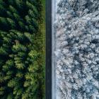 Fältstudier från Norge som ingår i rapporten visar att vägsträckor med PMB hade upp till 40 procent mindre spårbildning efter nio år jämfört med sträckor med konventionella bindemedel. Foto: Nynäs