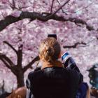 Stockholm får högst betyg, 89,6, av alla europeiska städer inom teknisk infrastruktur och uppkoppling. Foto: chirill- ceban/Unsplash