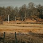 Torka kan även slå hårt mot odling och uppfödning av djur och minska tillgången till råvaror i nästa steg av livsmedelsproduktionen. Bild visar Dalsjöfors. Foto: Magnus Jonasson/Unsplash