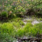 Genrebild. Foto: Christian Krebel