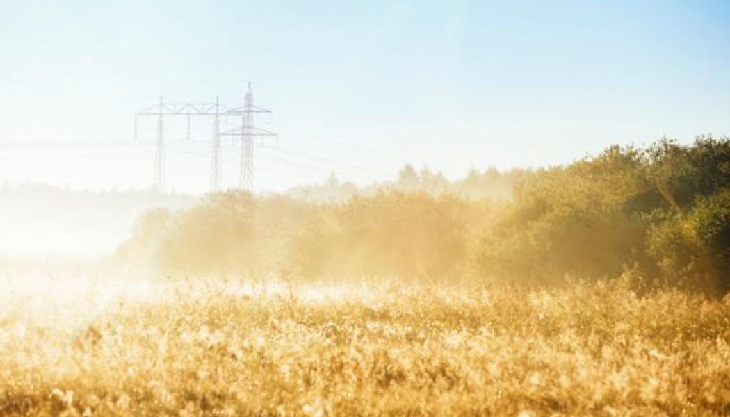 Energimarknadsinspektionens rambeslut för regleringsperioden, 2024–2027, ger E.ON Energidistribution möjligheter att investera 23 miljarder kronor i elnäten, vilket är bolagets största investeringsprogram till dags dato. Under de senaste 10 åren har E.ON Energidistribution investerat cirka 30 miljarder kronor i elnäten. Foto: Christian Andersson, Apelöga