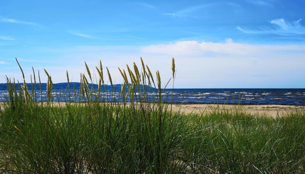 Kustvaktarevägen  vid Skummeslövsstrand i Laholm Foto: Henrik Jönsson/Unsplash