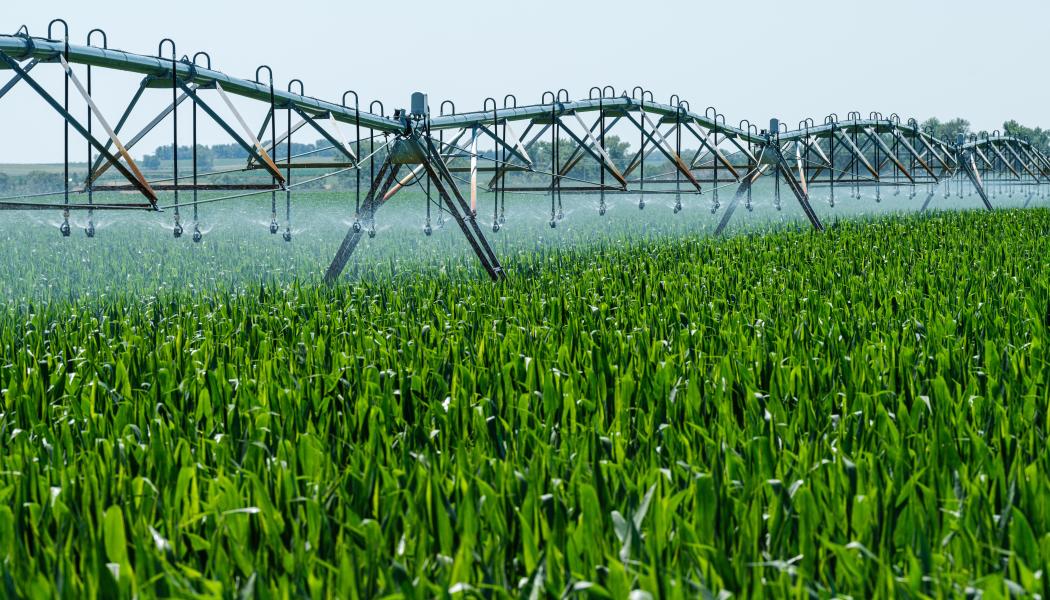 Projektet kommer att fungera som en forskningsenhet och show-case för att visualisera och engagera intressenter. Målet är att optimera systemet för framtida kommersialisering och expandera den innovativa tekniken internationellt. Foto: Unity4Water