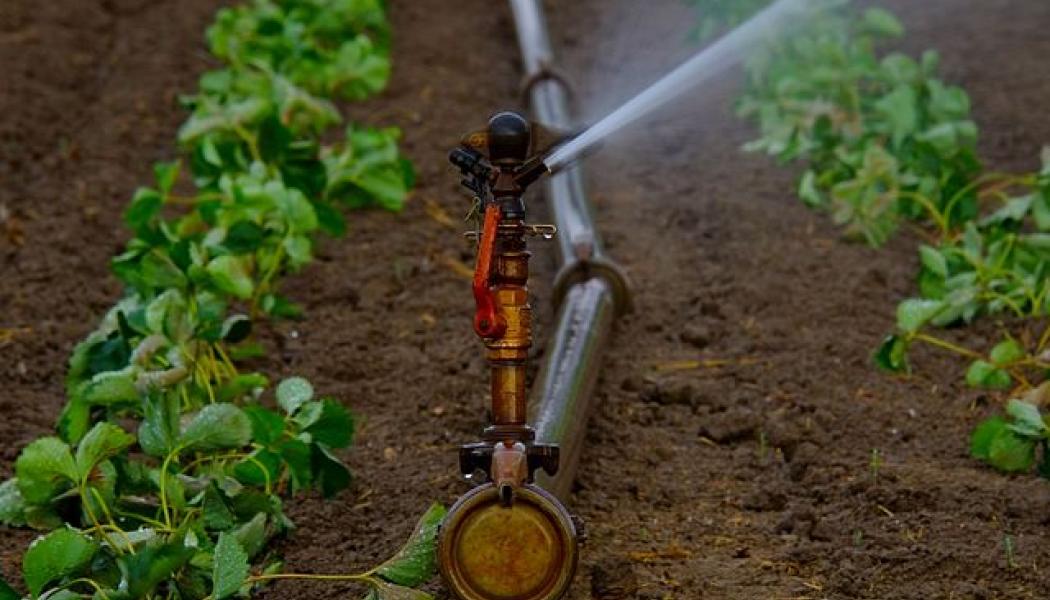 Lantbrukssprinkler Foto: Creative Commons