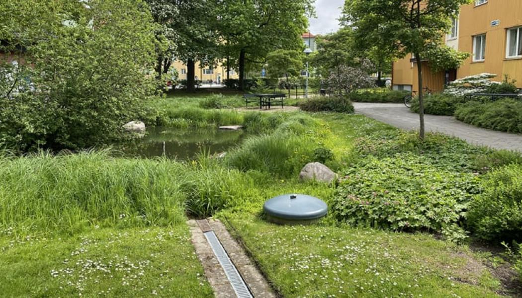 IVL förstärker inom hållbar stadsutveckling och klimatanpassning Foto: Johan Holmqvist/IVL