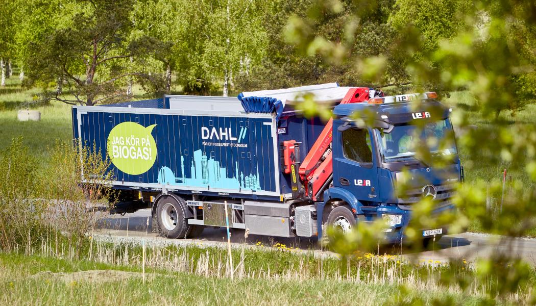 Foto: Dahl