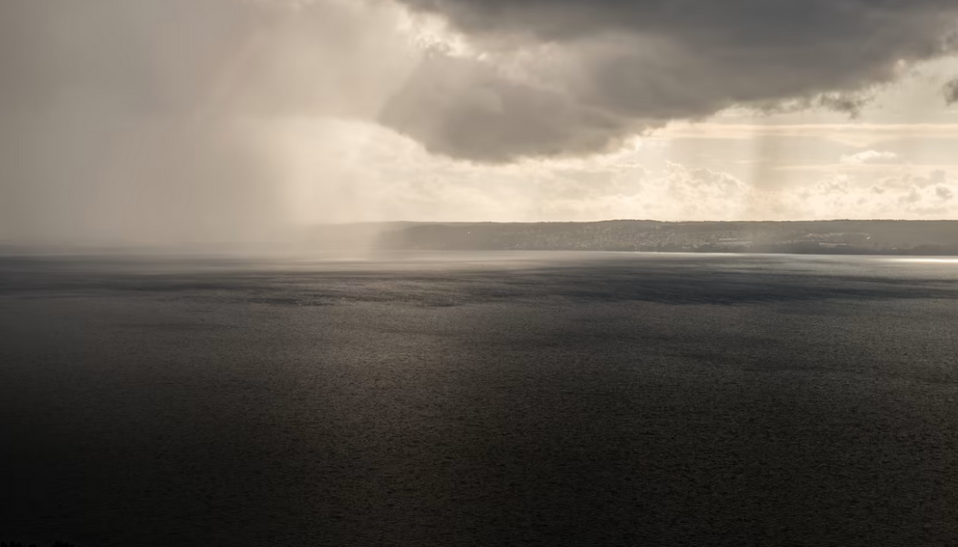 Genom att anlägga dammar minskas risken för översvämningar vid extrema regnmängder. Foto: Tyréns