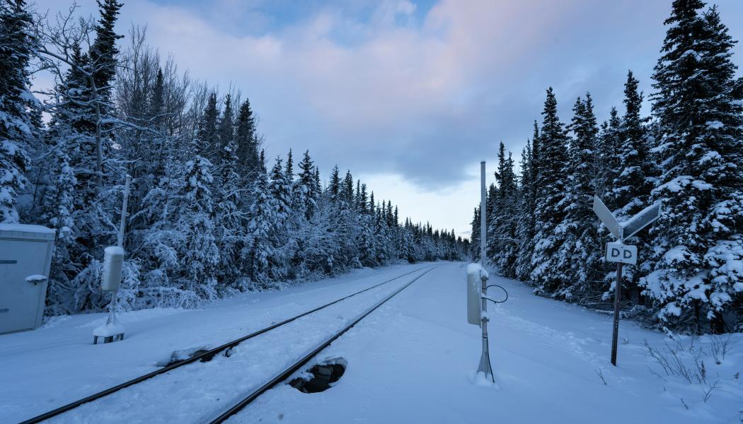 Järnvägsspår i vintermiljö. Foto: dennis zhang/Unsplash