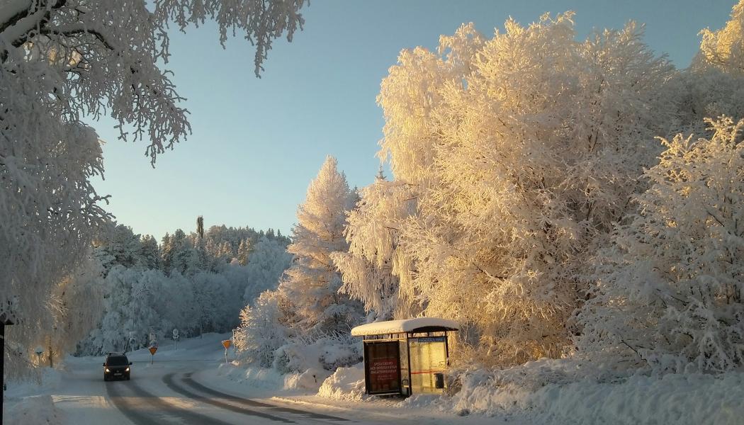 Busshålplats i Jämtland. Foto: Emmeli Sjölander/Unsplash