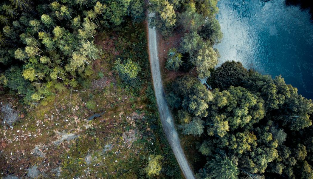 Gävle. Foto: Giovanni Bianchi/Unsplash