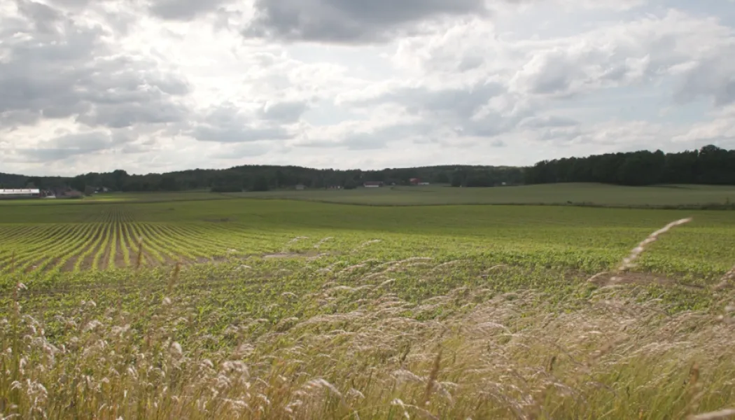 Bild tagen längs nya sträckningen Olofström-Blekinge kustbana. Foto: Jonas Fältman/Trafikverket
