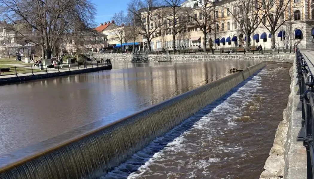 Faunapassager i Västerås. Foto: Susanna Hansen