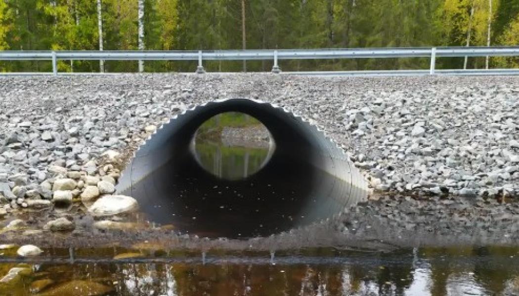 Faunapassage i vatten. Foto: Trafikverket
