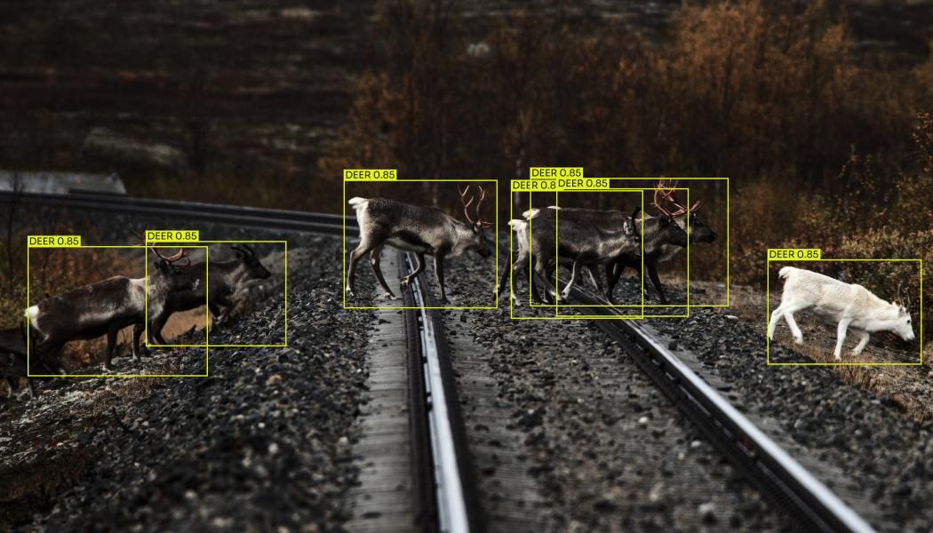 AI-systemet ombord på tågen minskar olyckor och skyddar djurlivet genom avskräckande ljudsignaler. Foto: Alstom