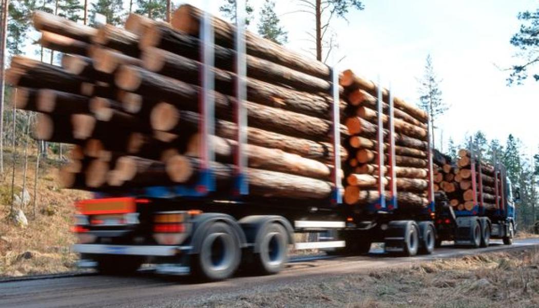 När tjällossningen kommer mjuknar marken och mindre vägar, ofta grusvägar, blir känsliga för tunga fordon. Det leder till bärighetsbegränsningar och kostsamma reparationer. Fotograf: Thomas Adolfsén
