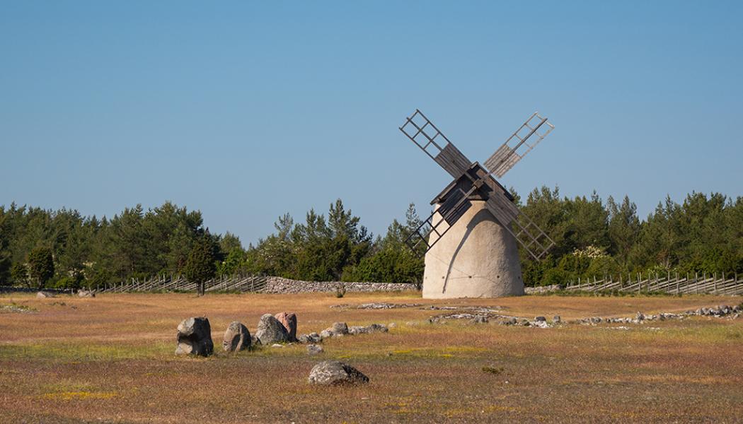 Återkommande vattenbrist på Gotland Foto: IVL