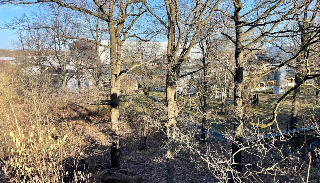 Bygget av den nya gula linjen – tunnelbanan mellan Älvsjö och Fridhemsplan miljöprövas. Foto: Stina Wickenberg