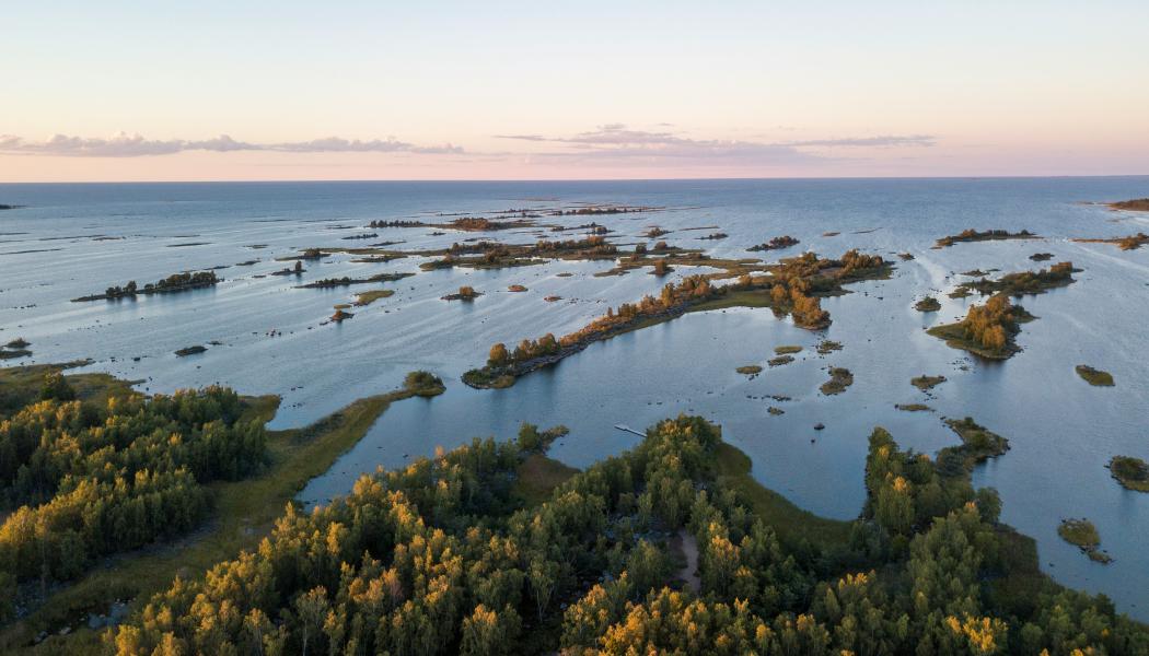 Kvarken. Foto: Hendrik Morkel/Unsplash