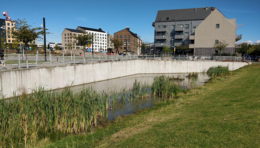 Att bygga ut eller ersätta hela ledningssystem är ekonomiskt ohållbart, menar Salar. Istället behöver vi avlasta dem genom naturbaserade dagvattenanläggningar som efterliknar naturens egna processer för att hantera avrinning. Foto: Salar Haghighatafshar