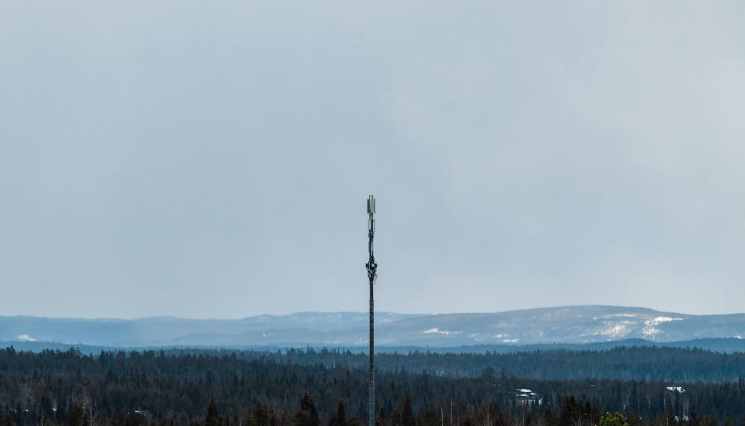 Bolaget är beläget i Jokkmokk, Sverige Foto: ilya shishikhin/unsplash