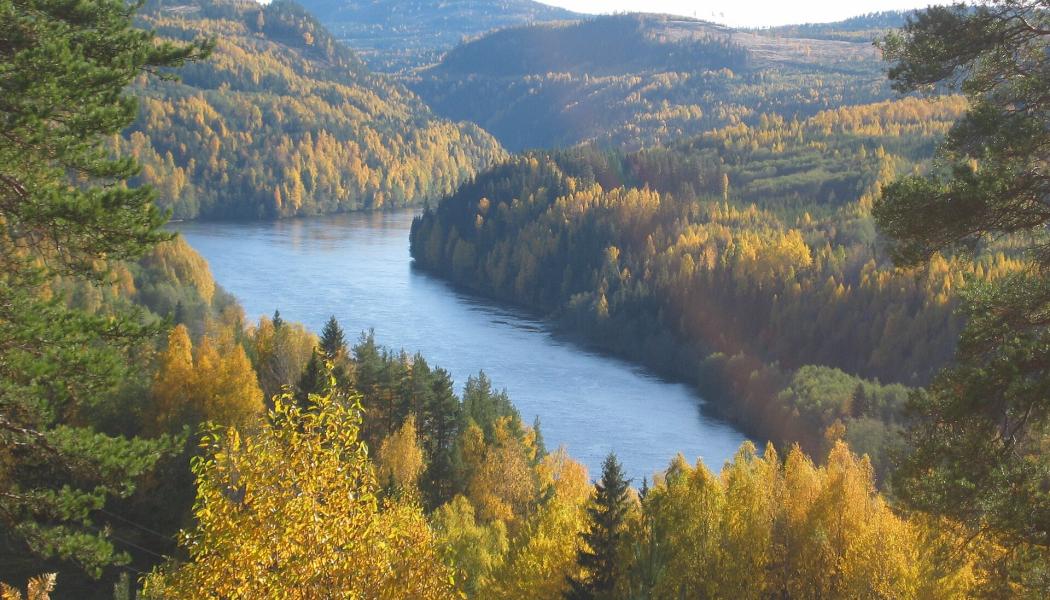 Indalsälven vid Utsikten i Sillre, i Sundsvalls kommun. Det nya vattenrådet omfattar älvens avrinningsområde från fjällområdena i Åre kommun och delar av Norge till kusten vid Timrå och Sundsvall. Foto: Reedhawk/Wikimedia Commons/https://commons.wikimedia.org/wiki/File:Indals%C3%A4lven.jpg