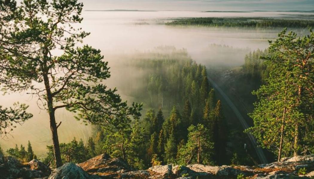 Den gröna omställningen i norra Sverige ställer krav på en robust och utbyggd infrastruktur. Det handlar främst om satsningar på järnväg, men även vissa vägar är berörda. Foto: Trafikverket
