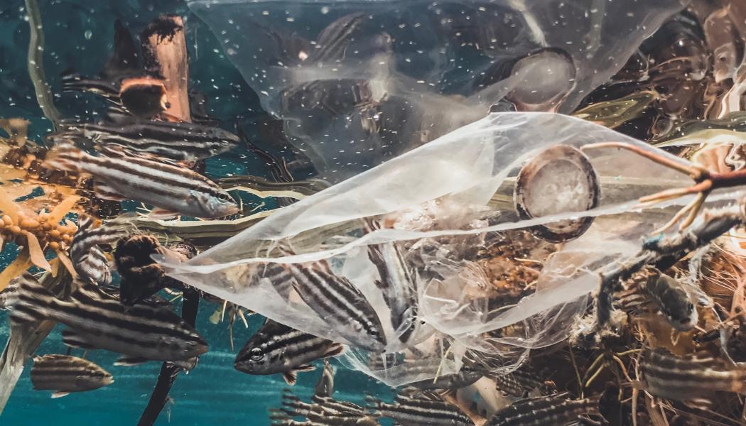 En övergång till en cirkulär plastekonomi, där plastprodukter återanvänds, materialåtervinns och hanteras ansvarsfullt, är avgörande för att lösa nedskräpningsproblemet, menar IKEM. Foto: naja bertolt jensen/unsplash