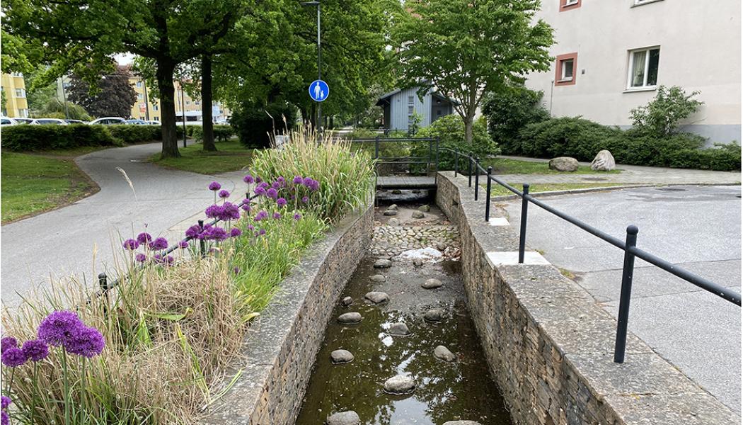 Vattenkanaler i Augustenborg i södra Malmö, ett område känt för klimatanpassning och hållbar stadsutveckling. Foto: IVL