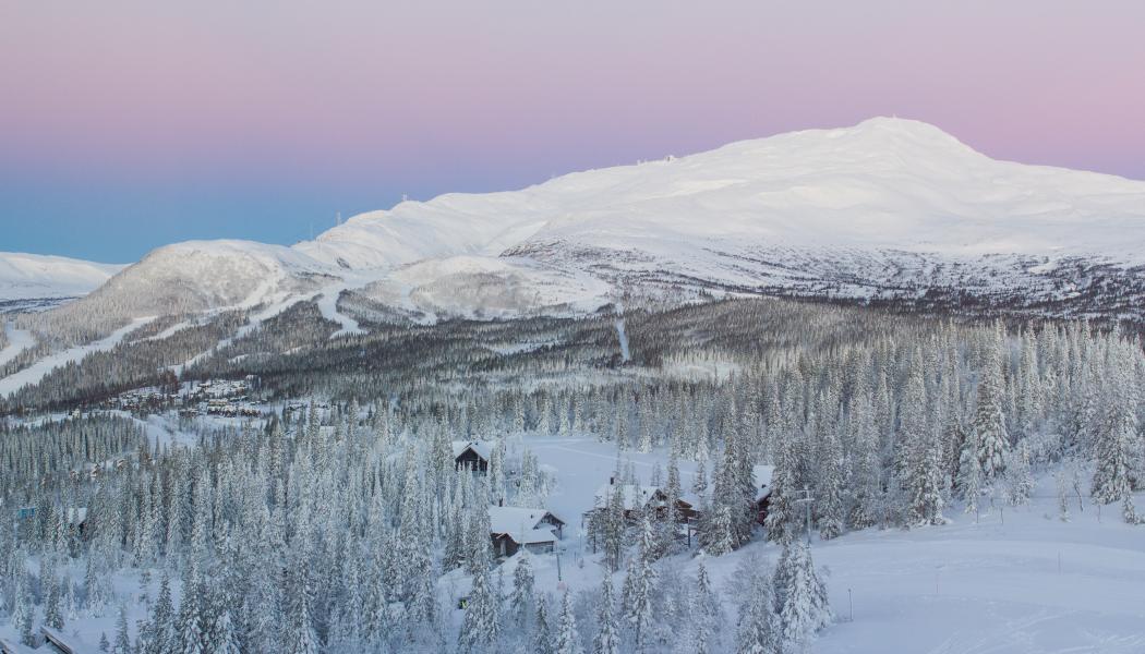 Debatt om Natos planer och Norrlands transportinfrastruktur Foto: dmitriy karfagenskiy/unsplash