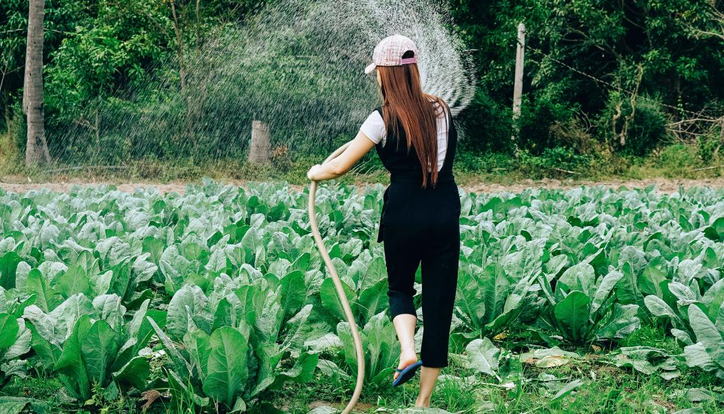 Foto: tony pham/unsplash