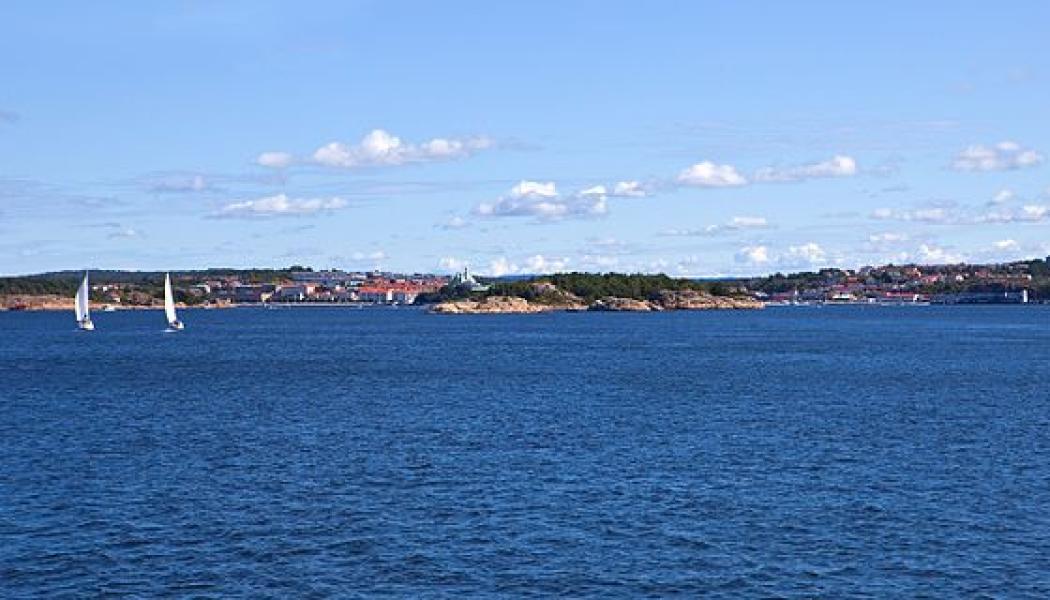 Koster. Foto: Wikimedia Commons