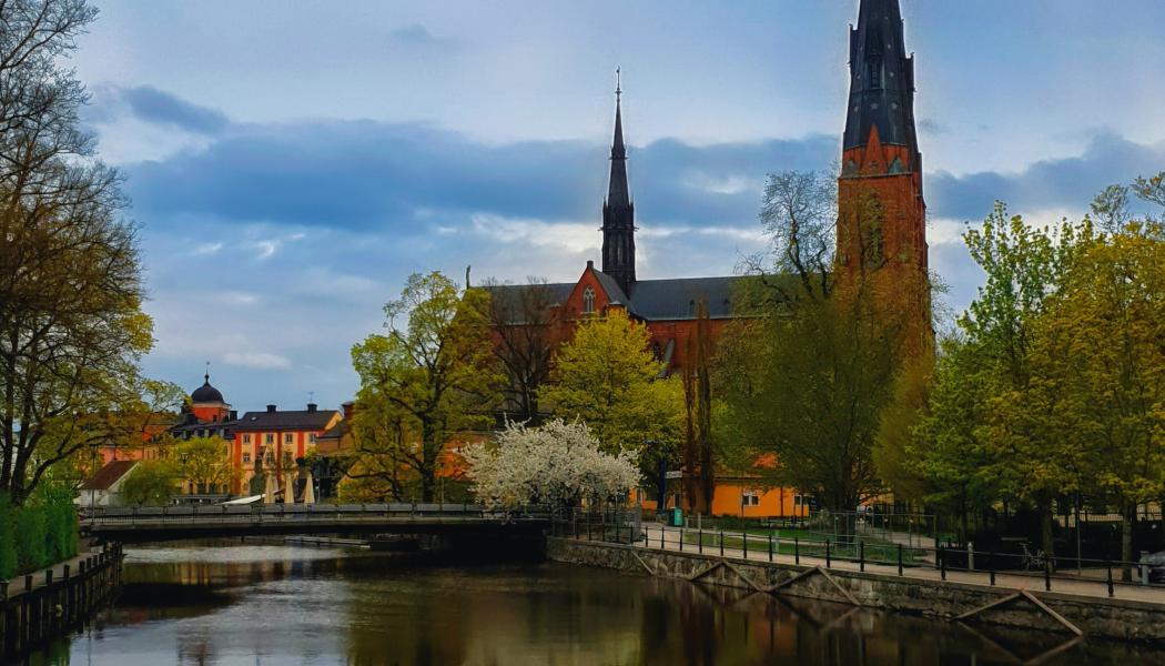 Grundvattennivåerna nådde sin högsta punkt i februari och har sedan dess sjunkit. Foto: ThePowerCouple/Unsplash