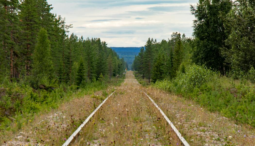 Enligt rapporten bedöms Inlandsbanan som en av de mest centrala järnvägarna för att integrera Sverige i Natos gemensamma försvarsplanering. Inlandsbanan, Röjan. Foto: Lasse Nystedt/Unsplash