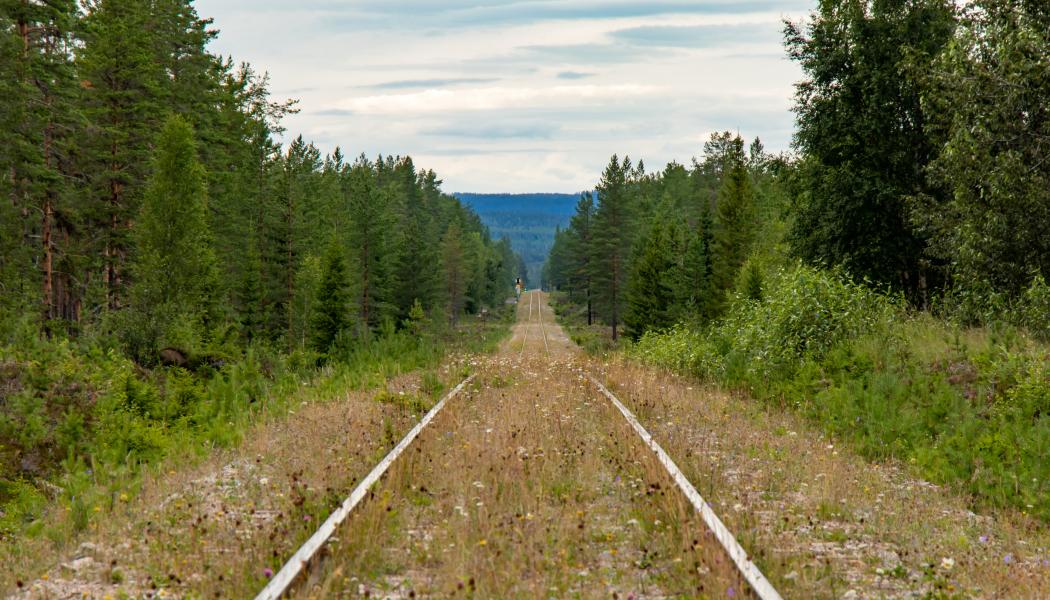 Tankesmedjan framhåller att järnvägsinvesteringar inte bara stärker transportsektorn utan också vidgar arbetsmarknadsregioner och ökar rörligheten på bostadsmarknaden. Foto: lasse nystedt /unsplash 