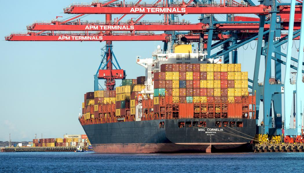 MSC Cornelia Foto: APM Terminals