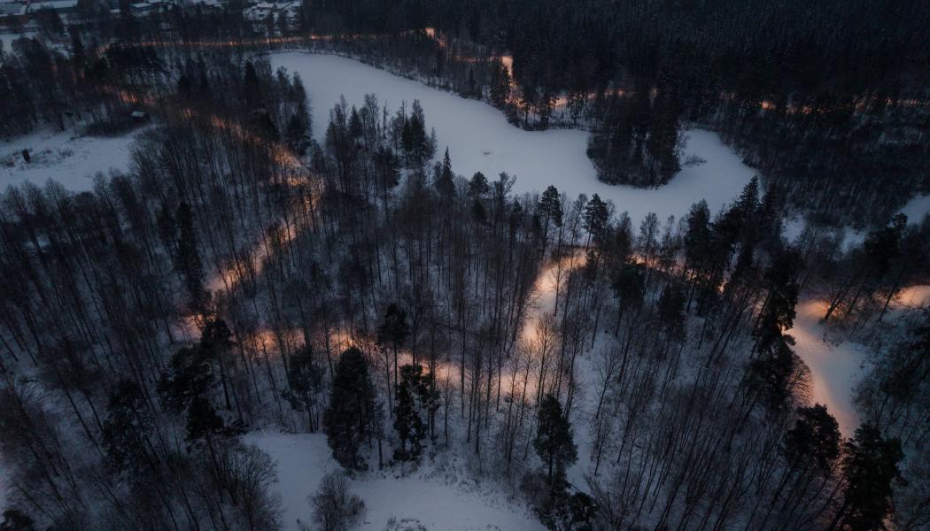 Fladdermöss reglerar insekter och stärker ekosystemet, men störs lätt av ljus. Därför är naturanpassad belysning avgörande. Foto: Zlatan Softic/DEFA.