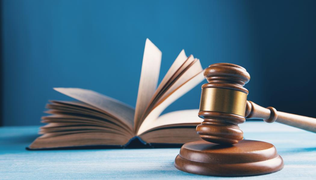 Naturskyddsföreningen har begärt rättsprövning av regeringens beslut att tillåta bygget av motortrafikleden Tvärförbindelse Södertörn i södra Stockholm. Foto: sasun bughdaryan /Unsplash