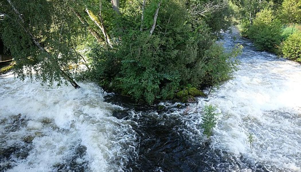 Forsen i Säveån i höjd med Floda. Bild: Johan Jönsson