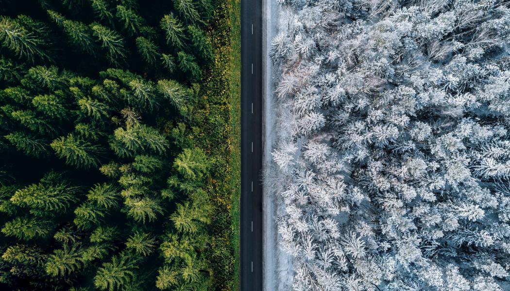 Fältstudier från Norge som ingår i rapporten visar att vägsträckor med PMB hade upp till 40 procent mindre spårbildning efter nio år jämfört med sträckor med konventionella bindemedel. Foto: Nynäs