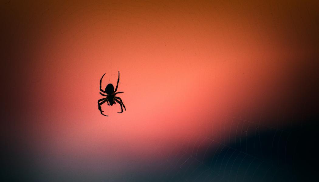 Foto: vidar nordli mathisen/unsplash