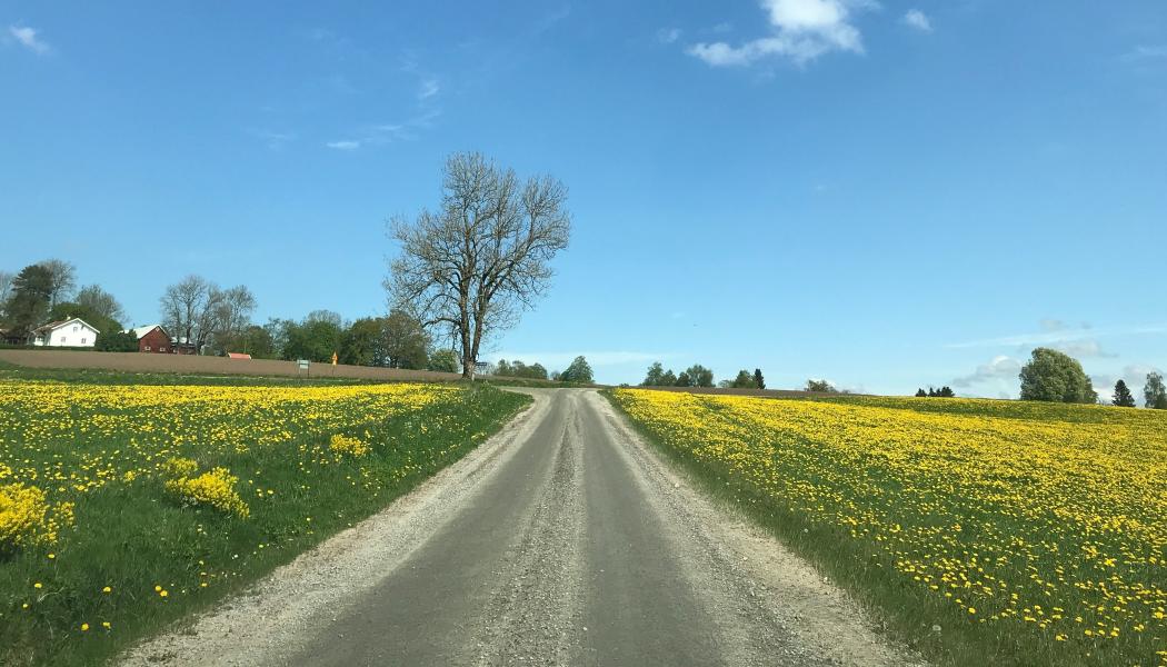 I de nya bestämmelserna införs ökade möjligheter till stöd vid särskilda omständigheter, till exempel vid naturkatastrofer eller trafikomledningar som inte kunnat påverkas av väghållaren. Foto: Magnus Östberg/Unsplash