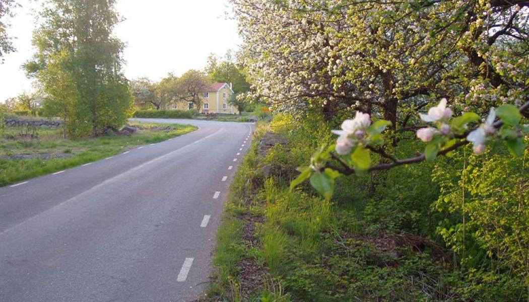 Driftområde, Tingsryd. Foto: Viktor Nilsson