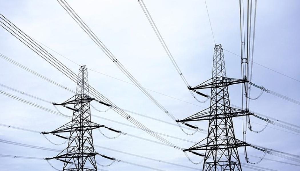 Industrin har välkomnat åtgärden att förstärka och utöka elnätet, vilket RenewableUK:s direktör för framtidens elsystem, Barnaby Wharton, beskriver som 