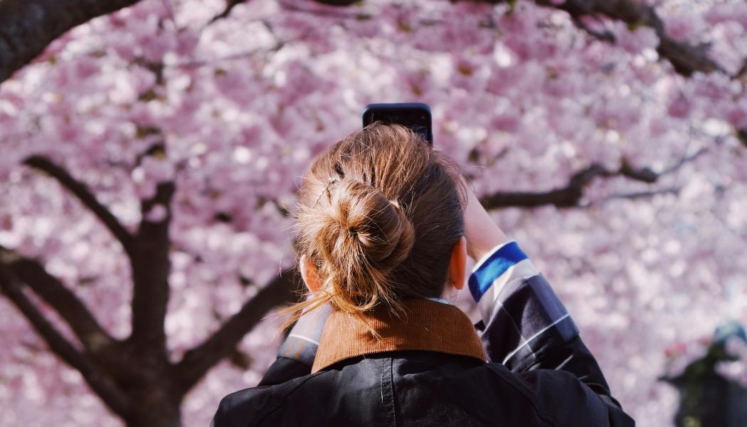 Stockholm får högst betyg, 89,6, av alla europeiska städer inom teknisk infrastruktur och uppkoppling. Foto: chirill- ceban/Unsplash