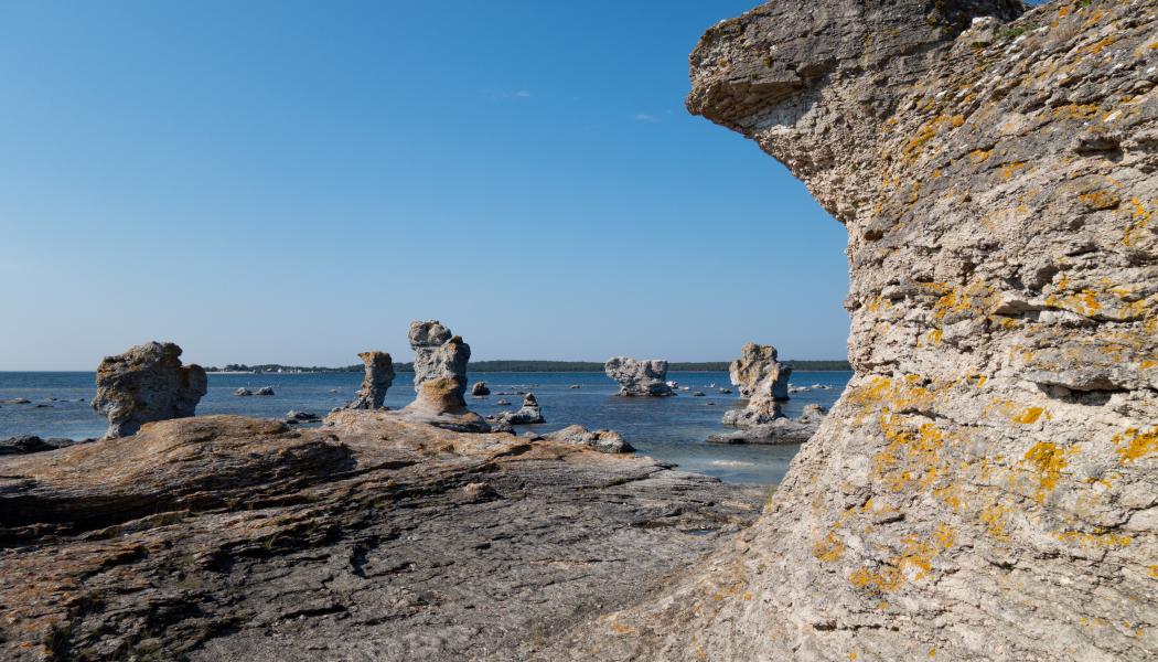 Trafikverket ska utreda en eventuell reservhamn på Gotland. Foto: nikola johnny mirkovic/unsplash