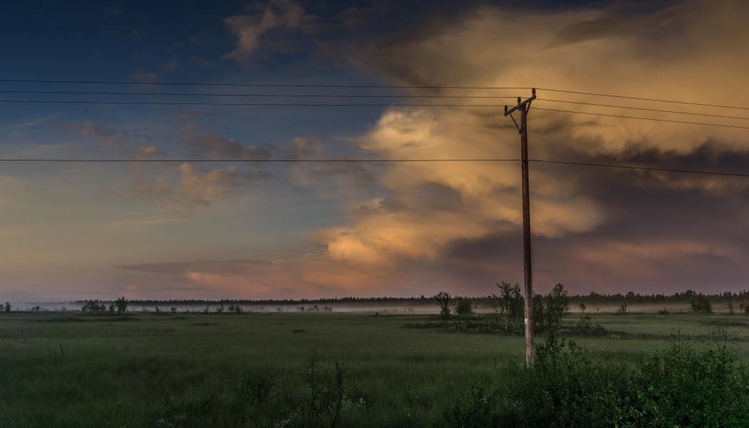 Den planerade elledningen kommer att gå genom bitvis känsliga naturmiljöer och områden av stor betydelse för rennäringen. Foto: s widua/unsplash