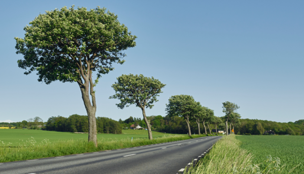 Drygt 3,3 miljarder avsätts för att bygga och förbättra viktiga Skånes regionala vägar. Foto: Region Skåne