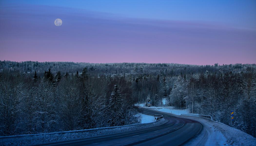 2022 startades projektet ”gles” 2+1-väg mellan Ånge och Bräcke. Foto: otto norin/unsplash
